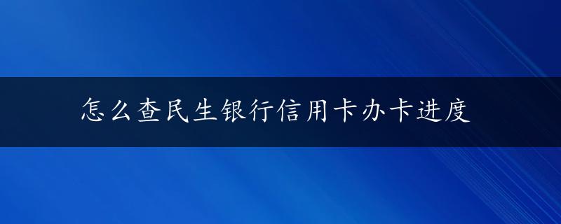 怎么查民生银行信用卡办卡进度