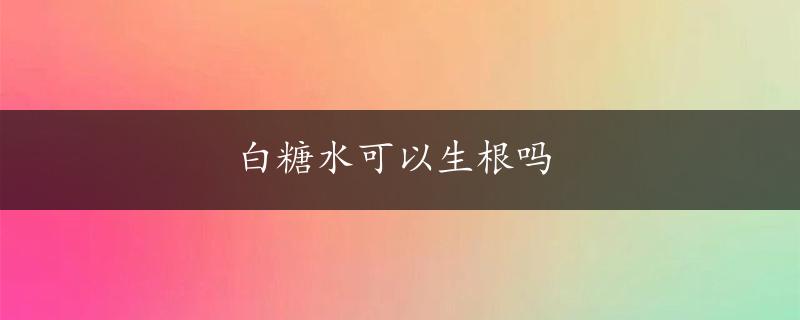 白糖水可以生根吗