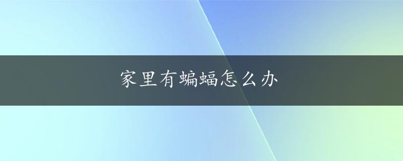 家里有蝙蝠怎么办