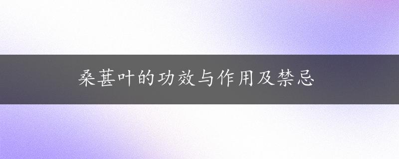 桑葚叶的功效与作用及禁忌