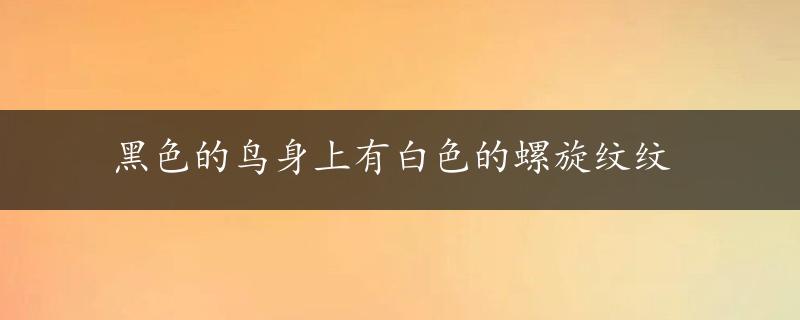 黑色的鸟身上有白色的螺旋纹纹