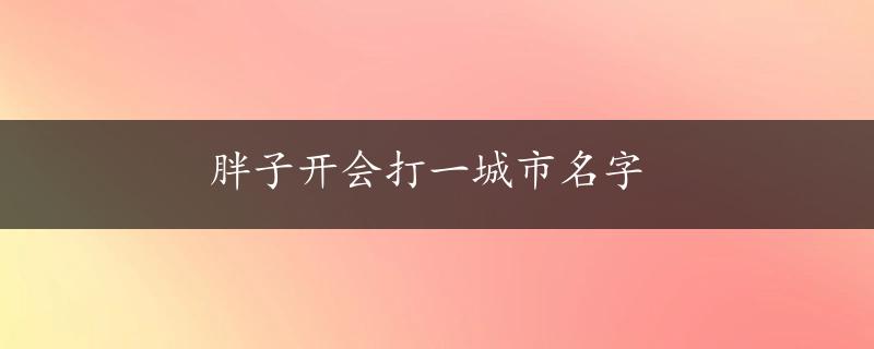 胖子开会打一城市名字