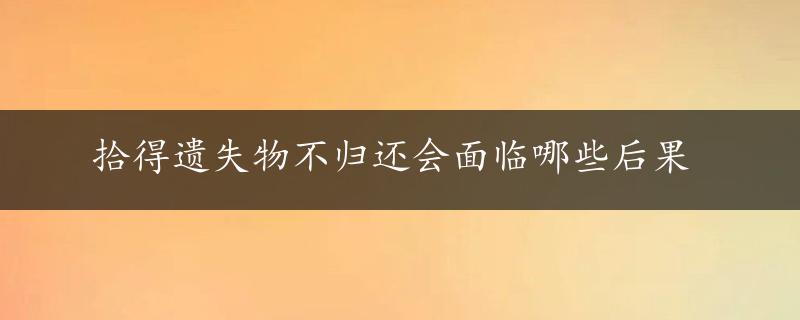 拾得遗失物不归还会面临哪些后果