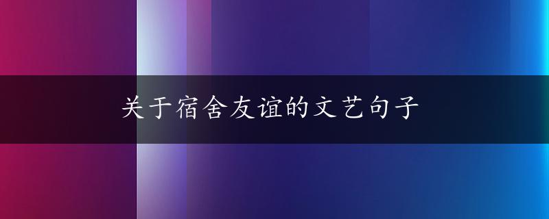 关于宿舍友谊的文艺句子