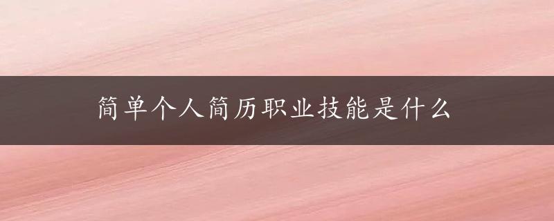 简单个人简历职业技能是什么