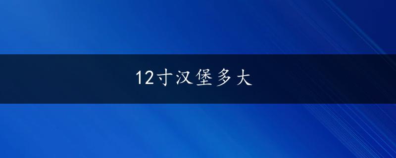 12寸汉堡多大