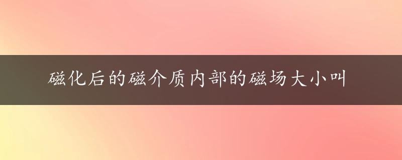 磁化后的磁介质内部的磁场大小叫