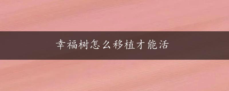 幸福树怎么移植才能活