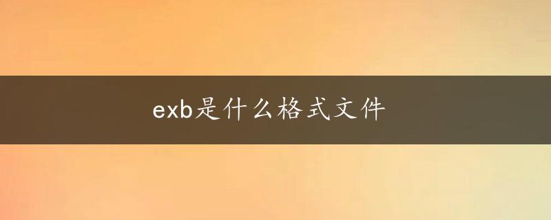 exb是什么格式文件