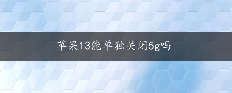 苹果13能单独关闭5g吗