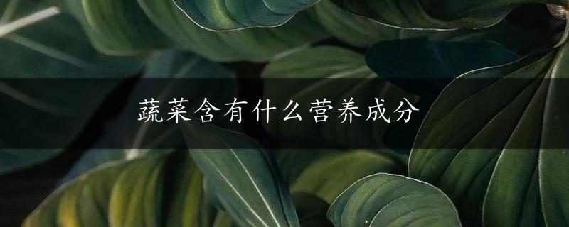 蔬菜含有什么营养成分