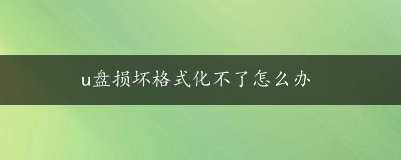 u盘损坏格式化不了怎么办