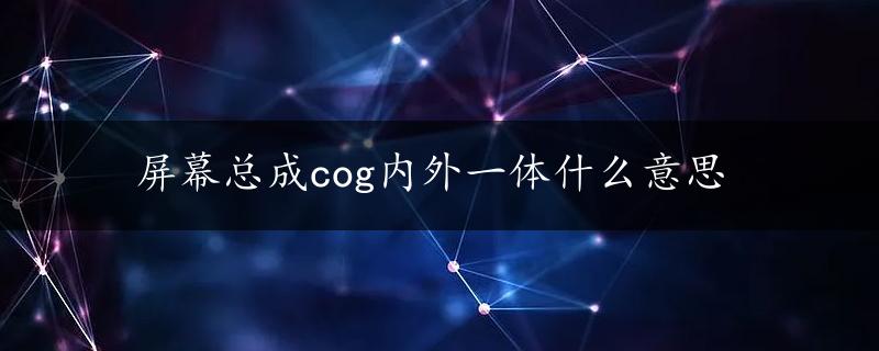 屏幕总成cog内外一体什么意思