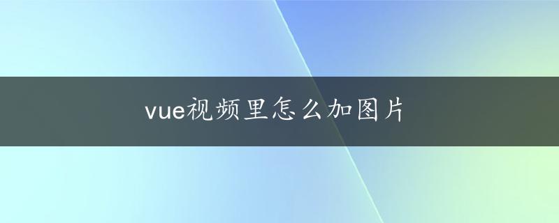 vue视频里怎么加图片