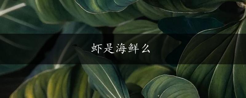 虾是海鲜么