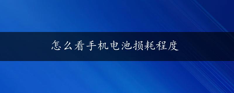 怎么看手机电池损耗程度