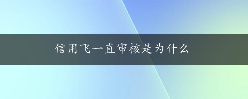 信用飞一直审核是为什么