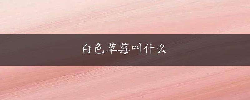 白色草莓叫什么