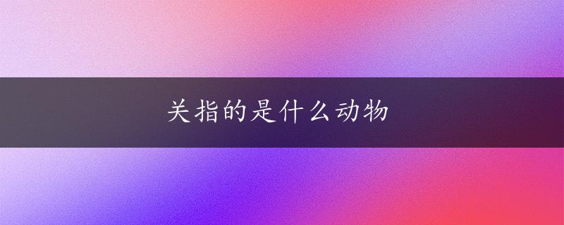 关指的是什么动物