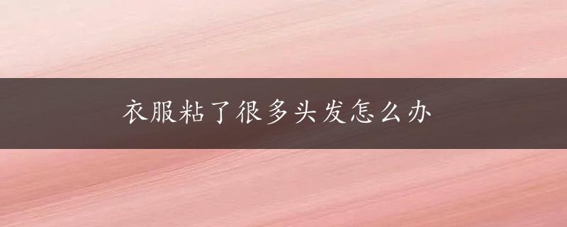 衣服粘了很多头发怎么办