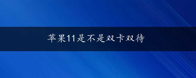 苹果11是不是双卡双待