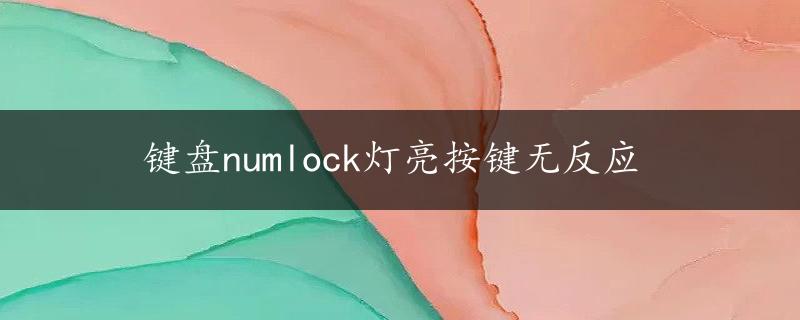 键盘numlock灯亮按键无反应