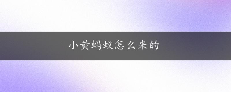 小黄蚂蚁怎么来的