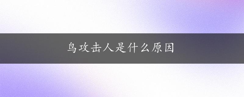 鸟攻击人是什么原因