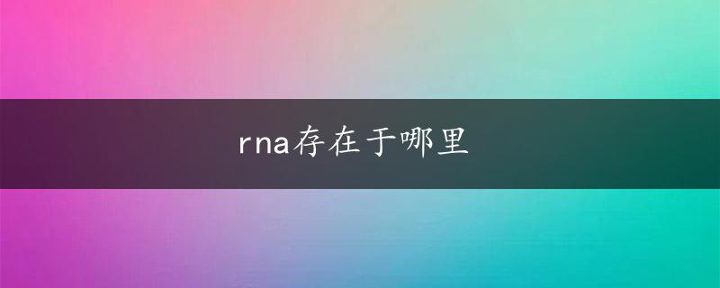 rna存在于哪里