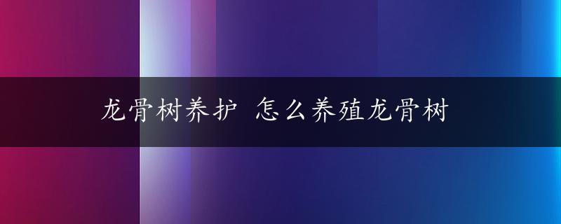 龙骨树养护 怎么养殖龙骨树