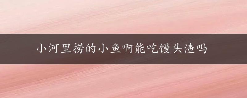 小河里捞的小鱼啊能吃馒头渣吗