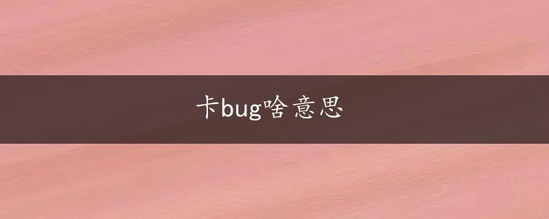 卡bug啥意思