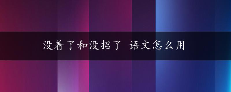 没着了和没招了 语文怎么用