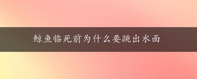 鲸鱼临死前为什么要跳出水面