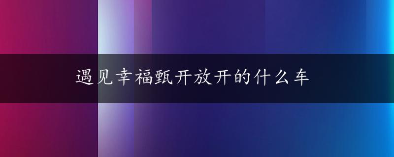 遇见幸福甄开放开的什么车