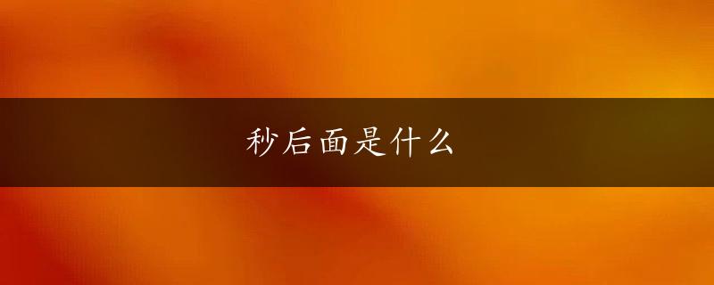 秒后面是什么