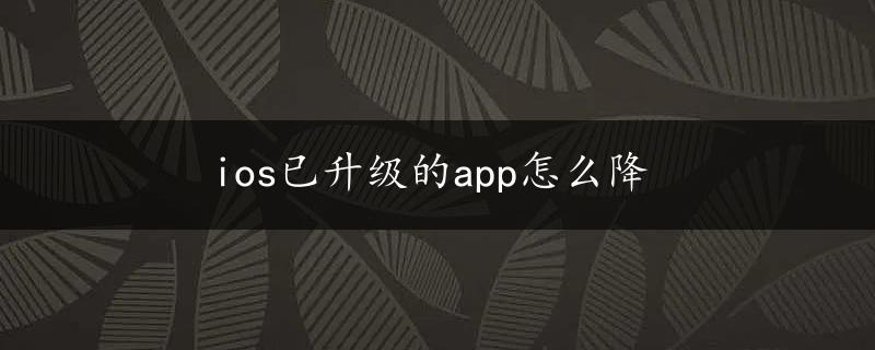 ios已升级的app怎么降