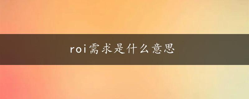 roi需求是什么意思