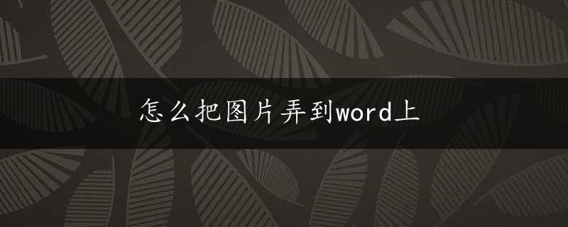 怎么把图片弄到word上