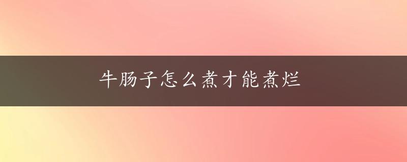 牛肠子怎么煮才能煮烂