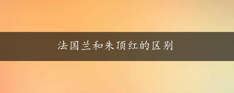 法国兰和朱顶红的区别