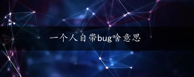 一个人自带bug啥意思