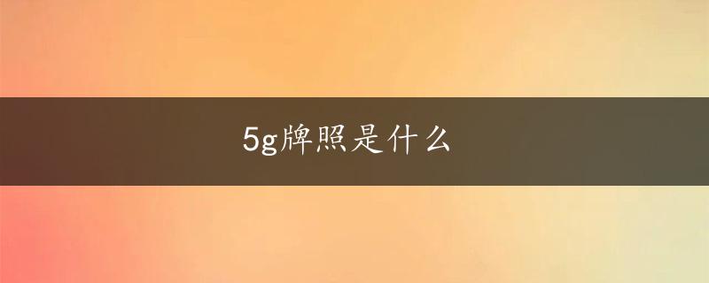 5g牌照是什么