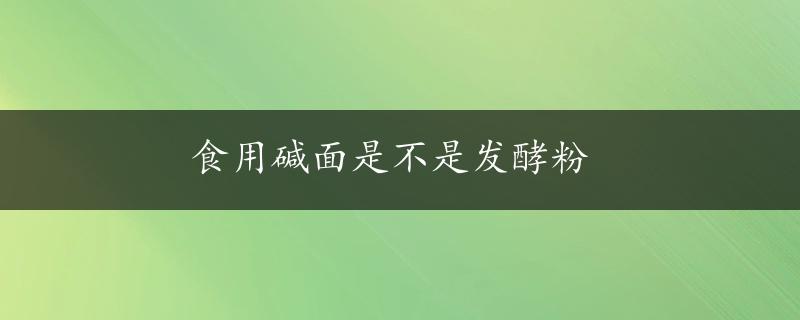 食用碱面是不是发酵粉