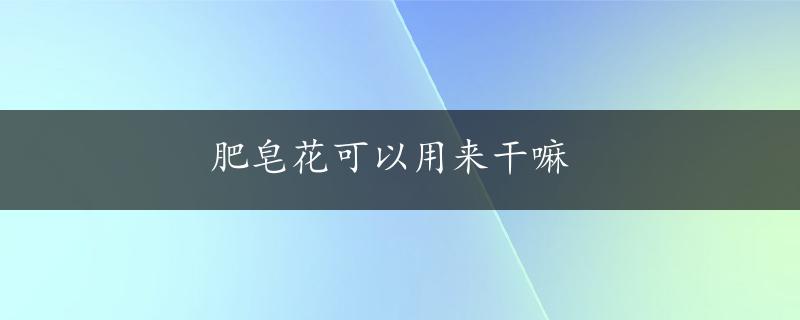 肥皂花可以用来干嘛