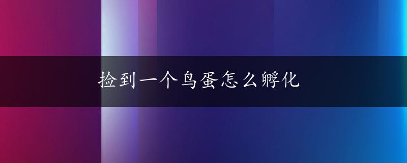 捡到一个鸟蛋怎么孵化