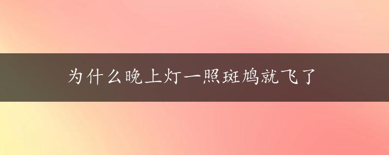 为什么晚上灯一照斑鸠就飞了