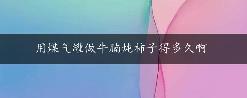 用煤气罐做牛腩炖柿子得多久啊