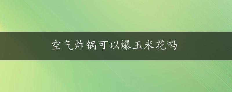 空气炸锅可以爆玉米花吗