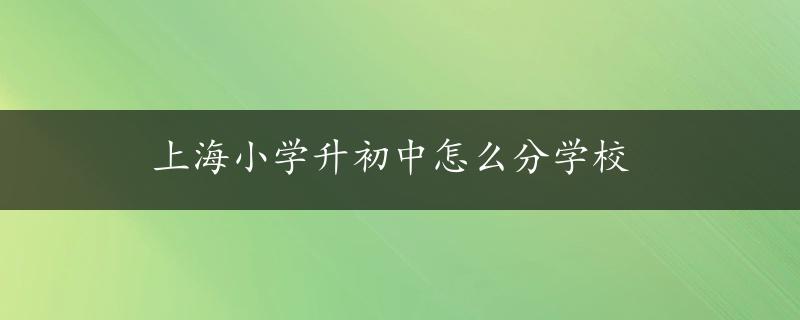 上海小学升初中怎么分学校